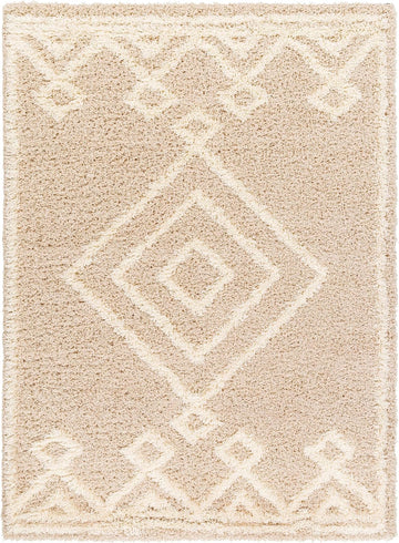 Blackey 5x7 Shag Beige Area Rug Carpet for Living Room Bedroom or Kitchen (5'3" x 7'3")